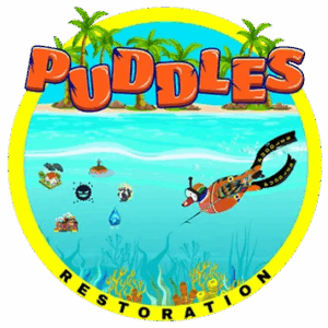 PUDDLES RESTORATION
